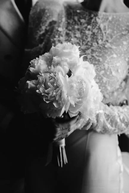 A peony in close crop
